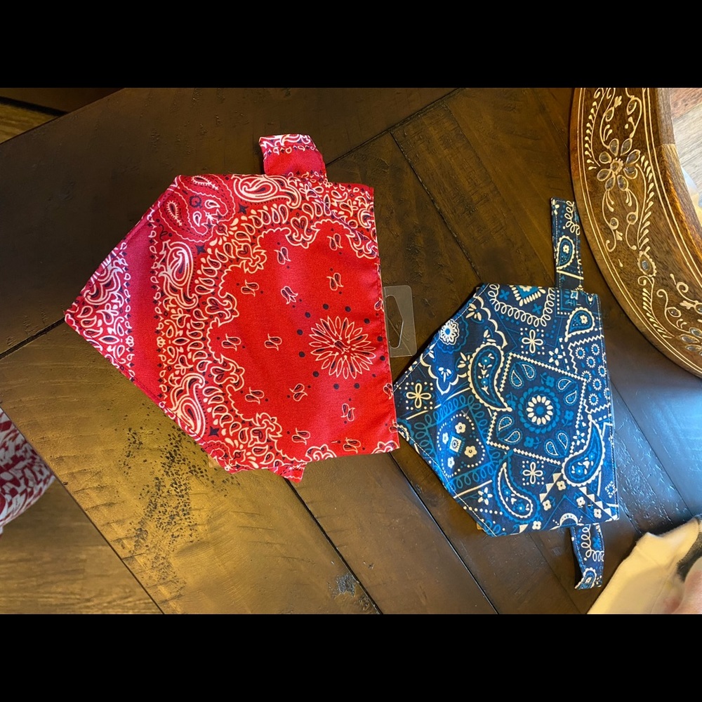 Pet bandanas/scarves.